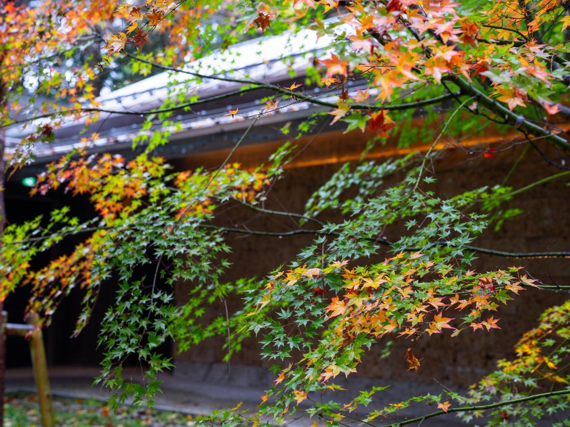 ホテル Nikko Nishimachi Club エクステリア 写真